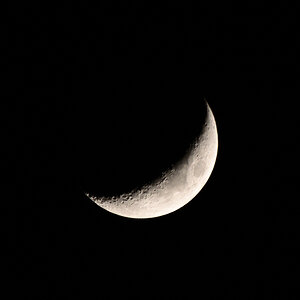 DSC_3234.JPG