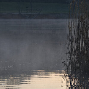 _U020066-1200x800.jpeg