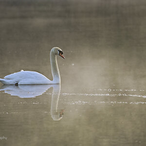 _U010122-1200x800.jpeg