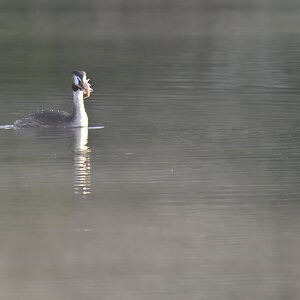 _U010341-1200x800.jpeg