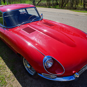DSC_7229_DxOn.jpg