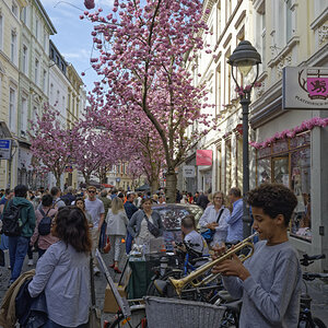 _Z508078_DxOxl.jpg