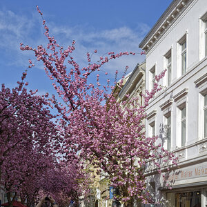 _Z508080_DxOAKxl.jpg