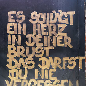 Herz in der Brust.jpg