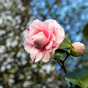 250407-002.jpg