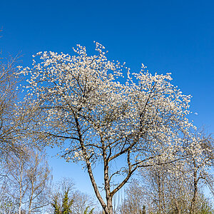 BQ4A6861.jpg