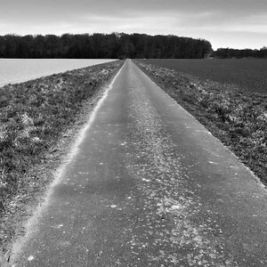 Weg zum Wald BW_2.jpg