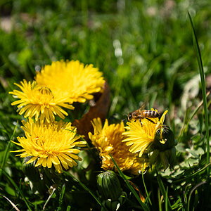 DSC_5782.jpg