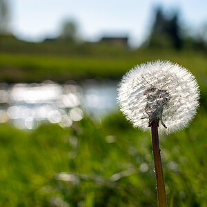20250410-DSC_8511.jpg