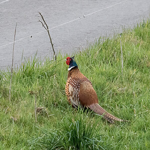 250416-004.jpg