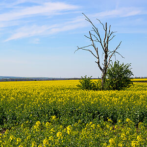 OFZ_00156.jpg