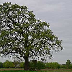 Z8A_0593t5l5s40p1.jpg