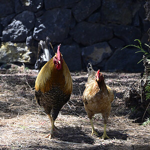_U021863-1200x800.jpeg