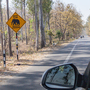 2025-04-05 18 Wildlife.jpg