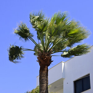 _U022141-1200x800.jpeg