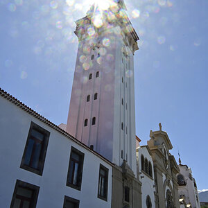 _U022213-800x1200.jpeg