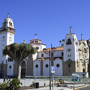 _U022215-1200x800.jpeg