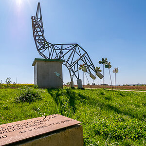 20190420-DSC_4015.jpg