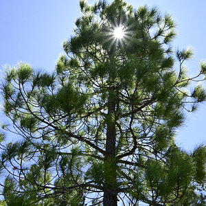 _U022327-800x1200.jpeg