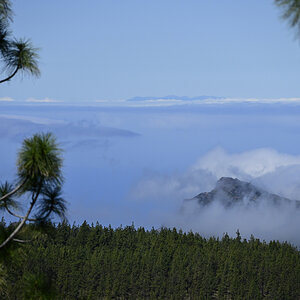 _U022347-1200x800.jpeg