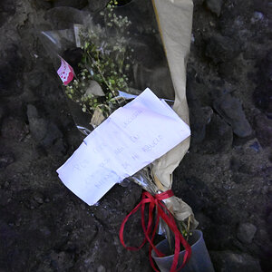 _U022703-800x1200.jpeg