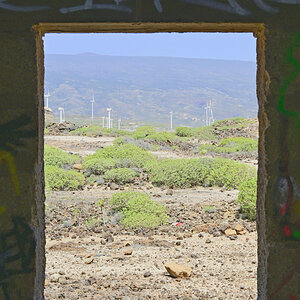 _U022496-800x1200.jpeg