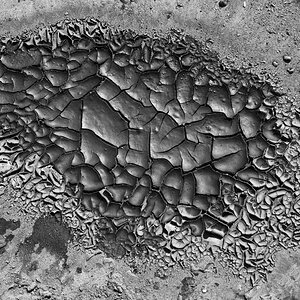 Eingetrocknet 1 BW.jpg