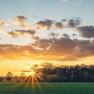 Sonnenstern