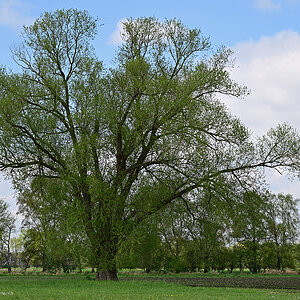 Z8A_0612t4l4s40p1.jpg
