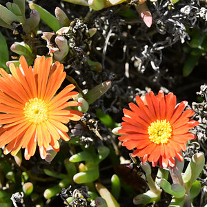 _U023087-1200x800.jpeg