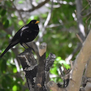 _U021510-1200x800-crop-1200x800.jpeg