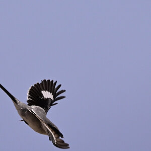 _U013016-crsc-1200x800.jpeg