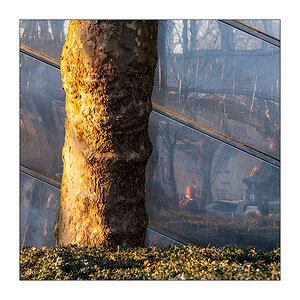 Selfie mit Baum im März © 2025 Sabine Lommatzsch
