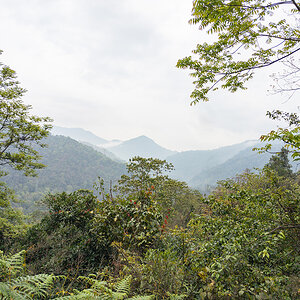 2025-04-11 21 Landscape.jpg