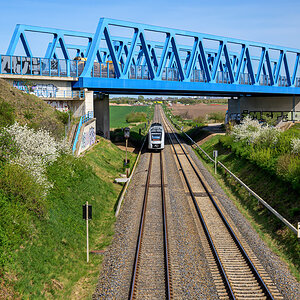 OFZ_00116.jpg
