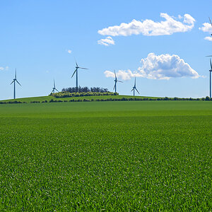 OFZ_00207.jpg