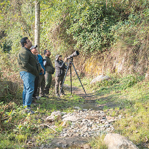 2025-04-08 015 Bird Photographers.jpg