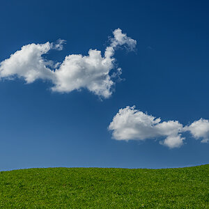 Wolke.jpg