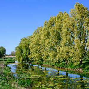 OFZ_00292.jpg