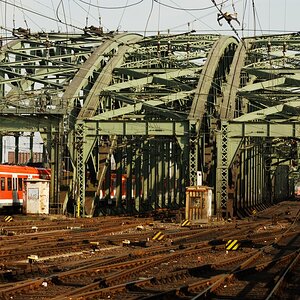 DSC_0190xl.jpg