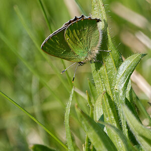N5015613nikon.jpg