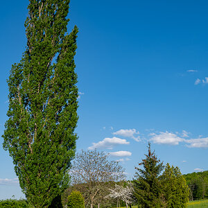 DSC_59793.jpg