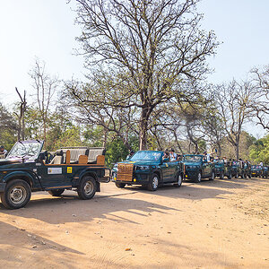 2025-04-14 073 Jeeps.jpg