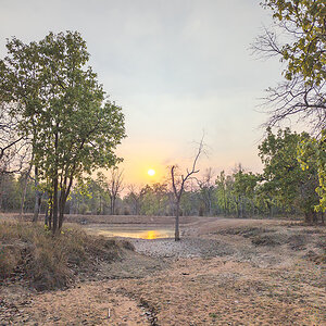 2025-04-16 077 Sunset over Water Hole.jpg