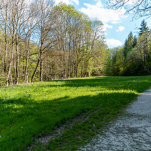 DSC_5913.jpg