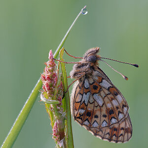 N5065801nikon.jpg
