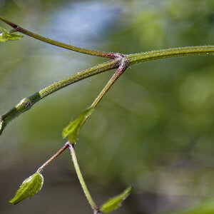 _DSC0580_DxOPAAxl.jpg