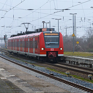 OF2_72504.jpg