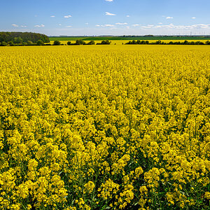OFZ_00267.jpg