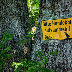 Nur den der eigenen?